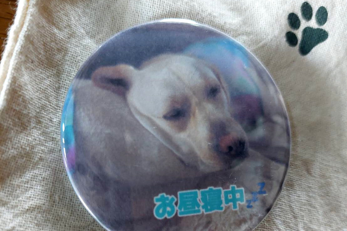 缶パッチ