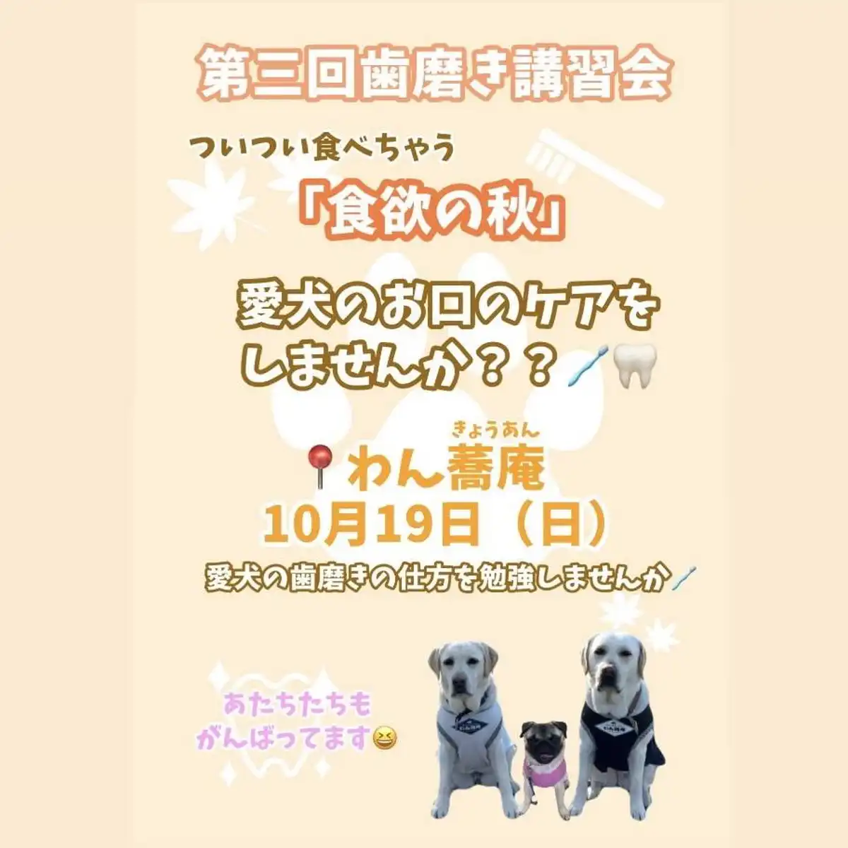 わんちゃんの「歯磨き講習会」開催のご案内